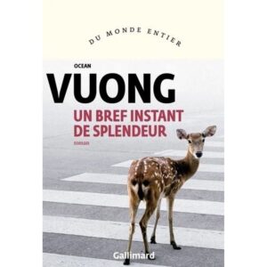 UN BREF INSTANT DE SPLENDEUR