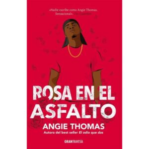 ROSA EN EL ASFALTO