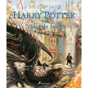 HARRY POTTER 4 - Y EL CALIZ DE FUEGO (ED ILUSTRADA) - TD