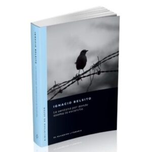 Ventana Por Donde Asoma La Escarcha, La-Ignacio Belsito-El Guardian Lit