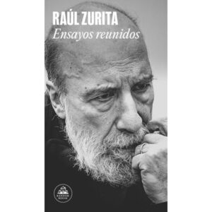 ENSAYOS REUNIDOS - RAUL ZURITA