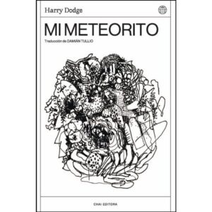 MI METEORITO