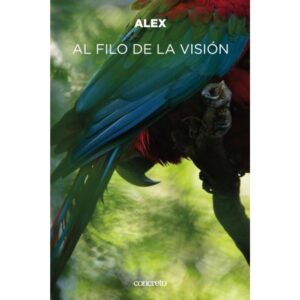 AL FILO DE LA VISION
