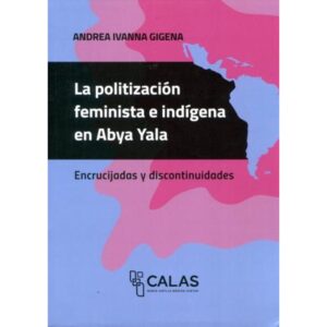 POLITIZACION FEMINISTA E INDIGENA EN ABYA YALA