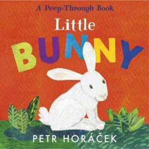 LITTLE BUNNY - A PEEP-THROUGH BOOK - BOARD BOOK