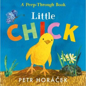 LITTLE CHICK - A PEEP-THROUGH BOOK - BOARD BOOK