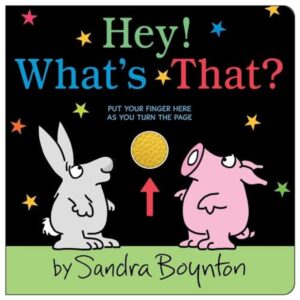 HEY! WHAT'S THAT? - BOARD BOOK