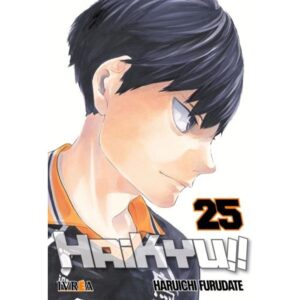 HAIKYU!! 25