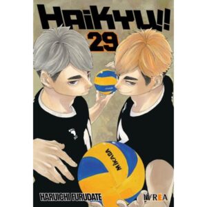 HAIKYU!! 29