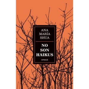 NO SON HAIKUS