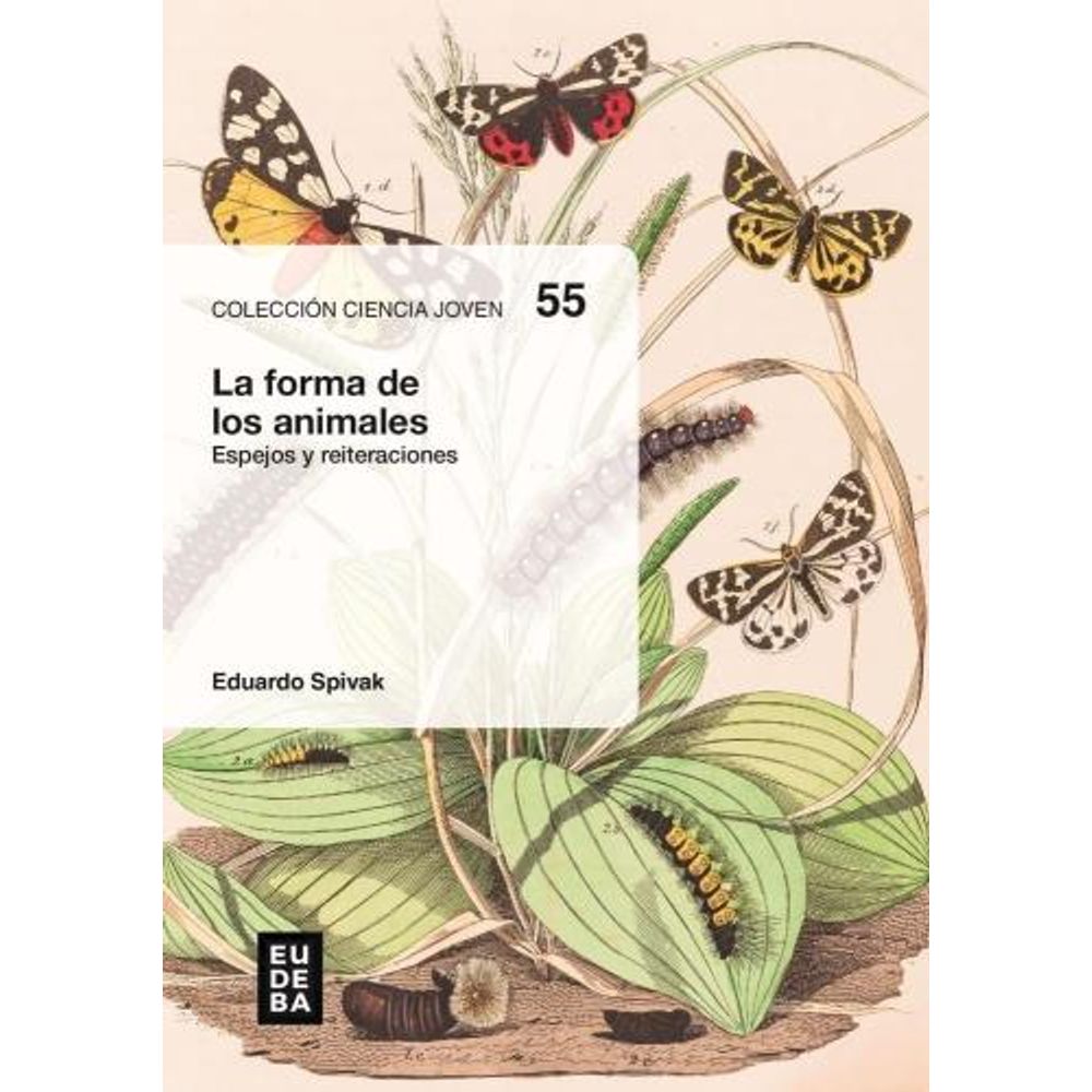 FORMA DE LOS ANIMALES, LA - ESPEJOS Y REITERACIONES