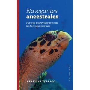 NAVEGANTES ANCESTRALES - POR QUE MARAVILLARNOS CON LAS TORTUGAS MARINAS