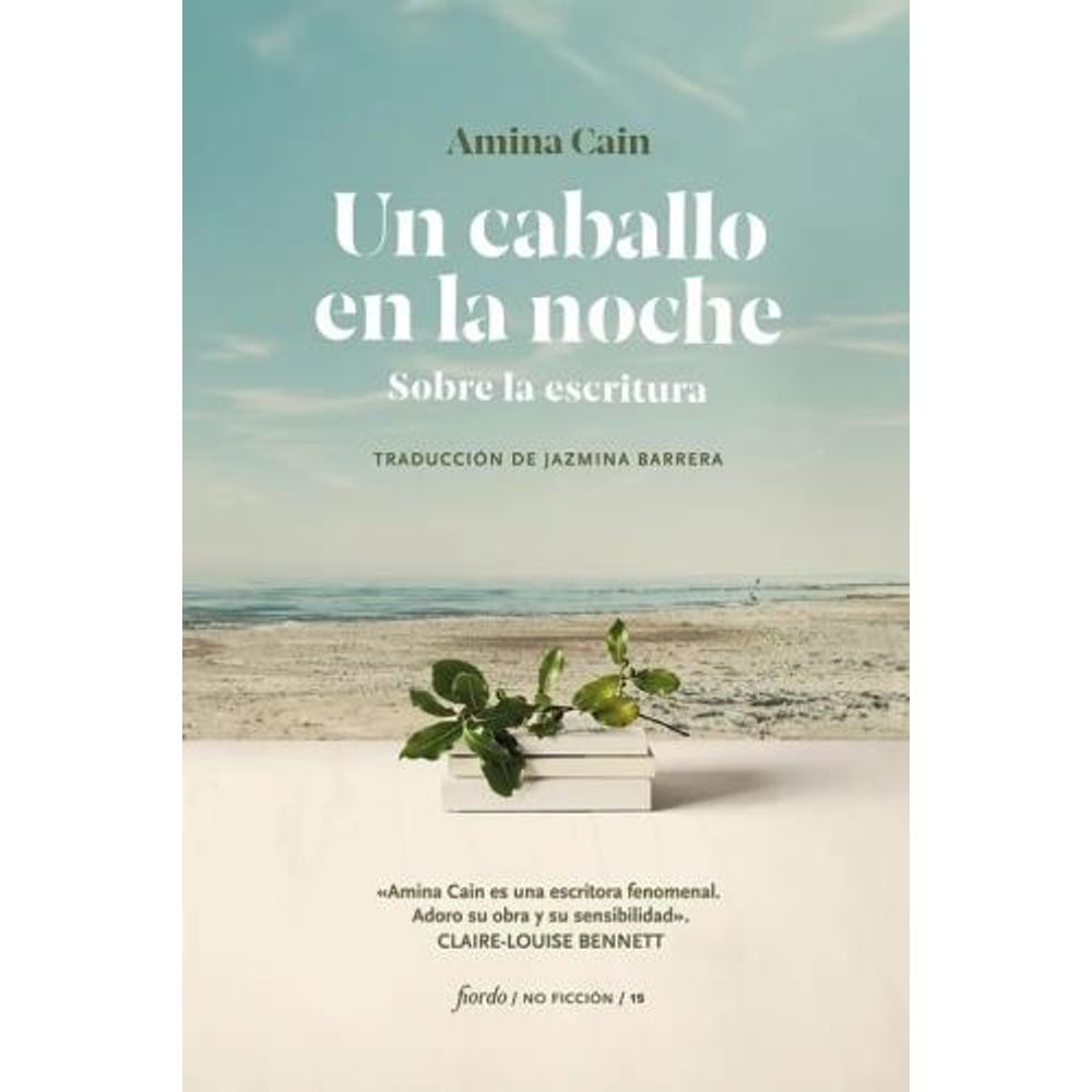 UN CABALLO EN LA NOCHE - SOBRE LA ESCRITURA